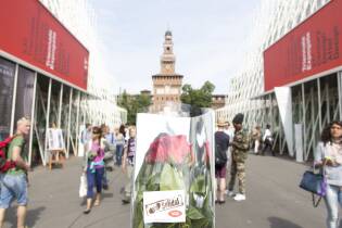 Festa della mamma al Gate con le rose Fairtrade - 8 maggio 2016