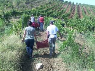 Campi Liberi in Sicilia – 28 agosto 03 settembre (11)
