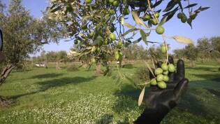 Campi Liberi – 24/30 ottobre 2016