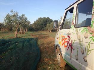 Campi Liberi – 17/23 ottobre 2016