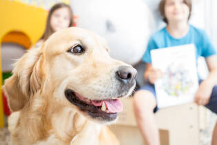 Gli Amici della Fattoria al Ronchettino di Brescia