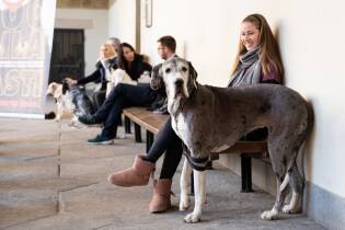 Grande partecipazione per il set di San Valentino 2019 (8)