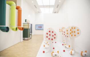 coop70_valoriinscatola_triennalemilano05