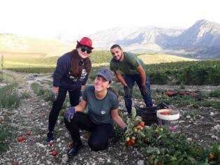 Campi liberi a San Giuseppe Jato dal 3 al 9 settembre 2018 (7)