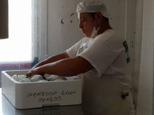 Campi Liberi a Castel Volturno – Dall’1 al 7 luglio 2018 (27)