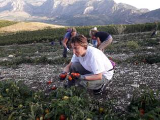 Campi liberi a San Giuseppe Jato dal 3 al 9 settembre 2018 (13)