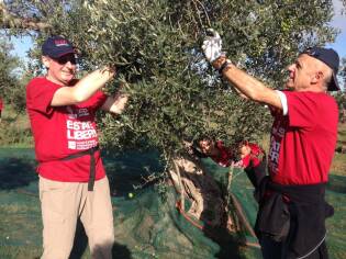 Campi Liberi – 17/23 ottobre 2016