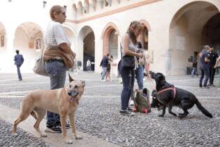 Inaugurazione Human Dog | 2 ottobre 2021