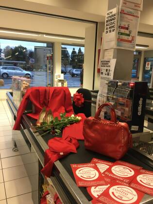 Giornata internazionale contro la violenza sulle donne - 25 novembre 2016 - Bareggio