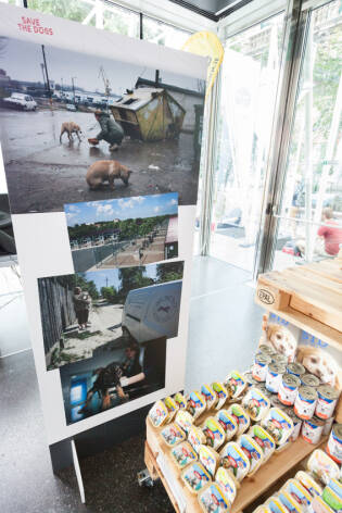 Save the Dogs and other Animals al Gate – 05 luglio 2016