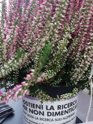 25 borse di studio finanziate da Coop ad Airalzh Onlus - 18 settembre 2018