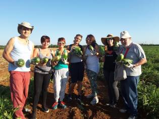 Campi Liberi luglio 2017 - Puglia (40)