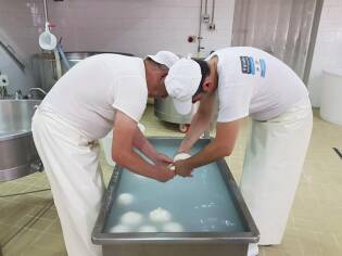 Campi Liberi a Castel Volturno – Dall’1 al 7 luglio 2018 (17)