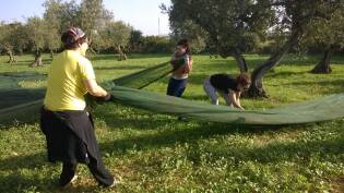 Campi Liberi – 24/30 ottobre 2016