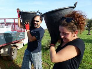 Campi Liberi – 24/30 ottobre 2016