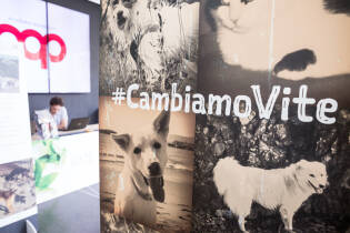 Save the Dogs and other Animals al Gate – 05 luglio 2016