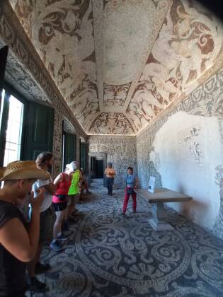 WhatsApp Image 2022-07-16 at 10.56.14