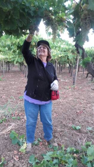 Campi Liberi in Sicilia – 04-10 settembre (9)