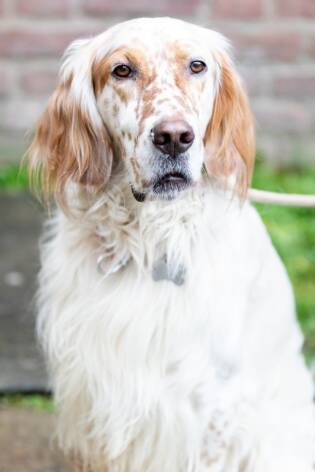 Grande partecipazione per il set di San Valentino 2019 (26)