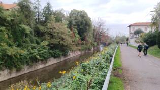 Coop to Coop Martesana - Day 3 (9)