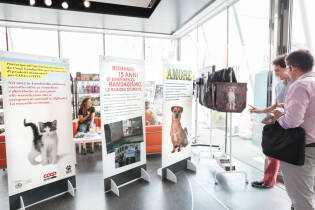 Save the Dogs and other Animals al Gate – 05 luglio 2016