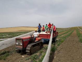 Impegno e formazione dal 10 al 16 giugno a Castelvetrano (6)
