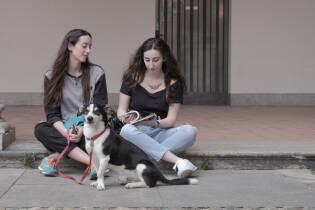 mondino.HumanDog.159