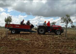 Campi Liberi in Sicilia - Dall'11 al 17 giugno 2018