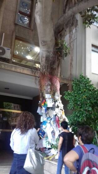 Campi Liberi in Sicilia – 04-10 settembre (5)