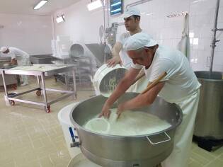 Campi Liberi a Castel Volturno – Dall’1 al 7 luglio 2018 (14)