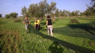 Campi Liberi – 24/30 ottobre 2016