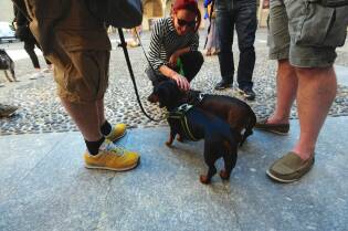 Human Dog 2019 nuovo grande successo per l'inaugurazione (26)
