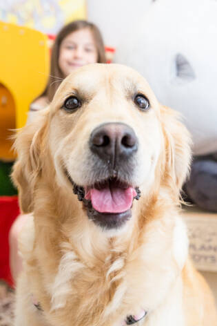 Gli Amici della Fattoria al Ronchettino di Brescia