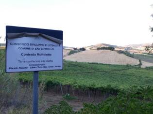 Campi Liberi in Sicilia – 04-10 settembre (4)