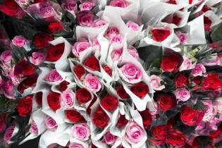 Festa della mamma al Gate con le rose Fairtrade - 8 maggio 2016