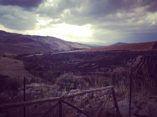 Campi Liberi – 17/23 ottobre 2016