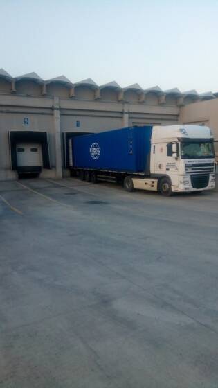 I meloni Terra Equa sono buoni in tutti i sensi! (9)