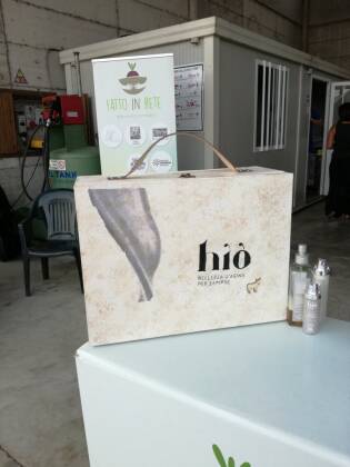 Visita all’azienda agricola Asine di Balaam - 9 settembre 2017