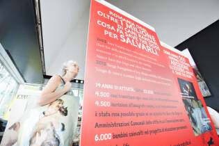 Save the Dogs and other Animals al Gate – 05 luglio 2016