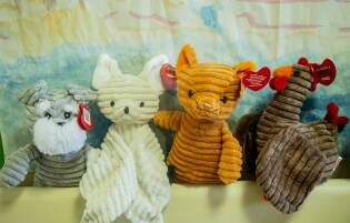 Quattromila Fortunelli al reparto pediatria dell'ospedale Sant'Anna (28)