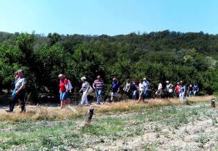 Visite ai fornitori – Volpedo Frutta - 7 luglio 2017 (5)