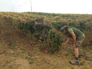 Campi Liberi - 17/23 ottobre 2016 - Corleone