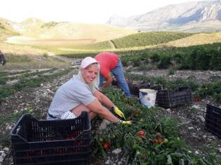 Campi liberi a San Giuseppe Jato dal 3 al 9 settembre 2018 (10)