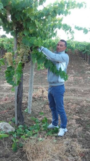 Campi Liberi in Sicilia – 04-10 settembre (8)