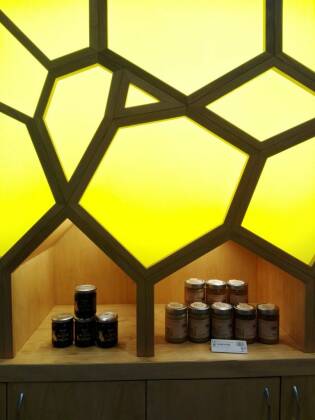 Visita ai laboratori Coop e a FICO Eataly World - 5 giugno 2018 (5)