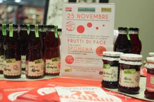 25 novembre 2017 - Insieme contro la violenza