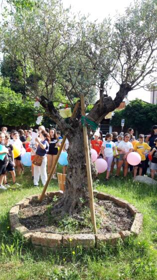 Capaci di memoria: trent’anni dalle stragi di mafia. Comitato Soci di Cormano - Cusano