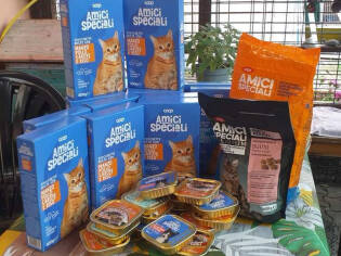 240710-immagine-blog-800x600-immagine-anteprima-Pcoop_