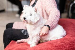 Grande partecipazione per il set di San Valentino 2019 (35)