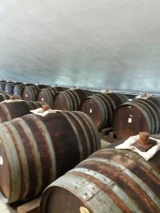 Visita azienda Ferrarini 5